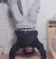 짤 GIF