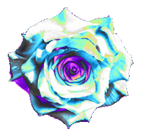 Rainbow Flower Sticker