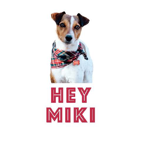 Miki Sticker