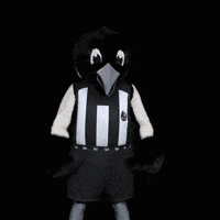 Collingwood Magpies Football GIF by CollingwoodFC