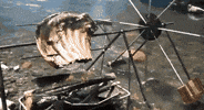 bbq GIF