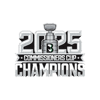 Black Bears Sticker by Binghamton Black Bears
