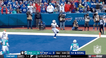 Buffalo Bills Football GIF by NFL