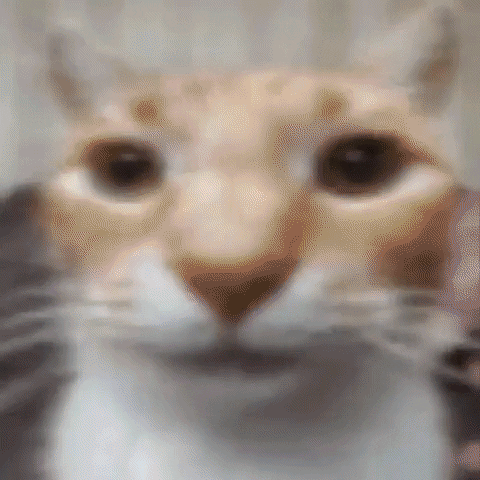 Bruhyoyoslmao giphyupload csgo fever dream csgo edit GIF