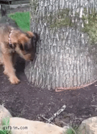 GIF by Demic