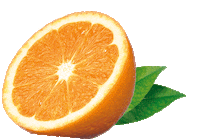 PROTINA green orange fruits magnesium Sticker