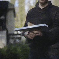 ping GIF