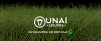 Tag Unai GIF by Unaí Leilões