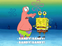 season 8 episode 20 GIF by SpongeBob SquarePants