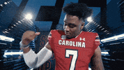 College Football GIF by gamecocksonline