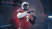 College Football GIF by gamecocksonline