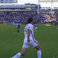 bash GIF by LA Galaxy