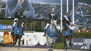 Team Celebrate GIF by FEI Global