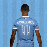 Major League Soccer Mls GIF by NYCFC