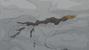 eric cartman snow GIF by South Park 
