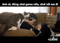 lozico duong-gif5 GIF