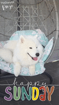 Happy Weekend GIF