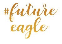 Football College Sticker by BostonCollege