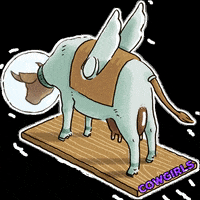 holzpunktparkett cowgirls parkett holzpunkt parkettkosmos GIF