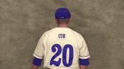 Cuw GIF by CUWFalcons