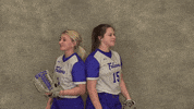 Softball GIF by CUWFalcons