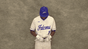 Cuw GIF by CUWFalcons