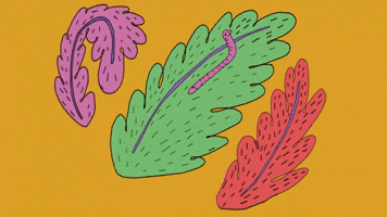 MORPHING CATERPILLAR