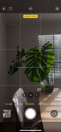 GIF by sharenoevil