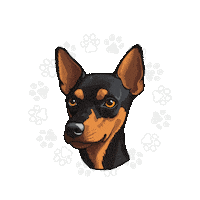 Dog Lover Sticker by Villa Pet Salvador