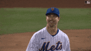 Happy Ny Mets GIF by New York Mets