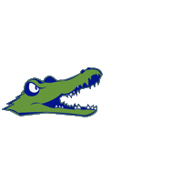 Allegheny School Spirit Sticker by Allegheny College