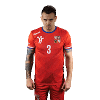 Ceska Hazena Sticker by Czech Handball