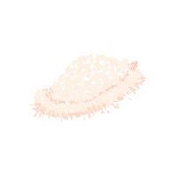 peachbabystudio sea creature peachbaby nudibranch sea slug Sticker