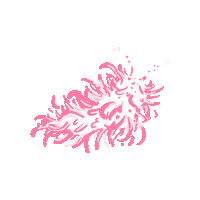 peachbabystudio peachbaby nudibranch sea animal seaslug Sticker