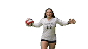 Womens Volleyball Heart Sticker by Clarke University