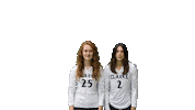 Womens Volleyball Heart Sticker by Clarke University