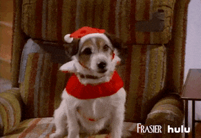 cbs GIF by HULU