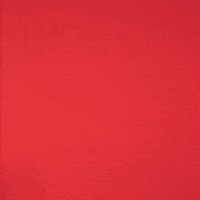 Soccer What GIF by Fortuna Düsseldorf