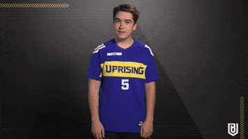 Meme Reaction GIF by Boston Uprising