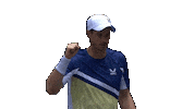 Celebrating Us Open Tennis Sticker by US Open