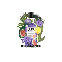 Body Wash Beauty Sticker by LUX South Africa