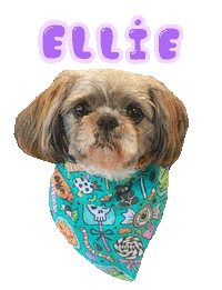 Dog Ellie Sticker