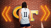Georgia Tech Volleyball GIF by Georgia Tech Yellow Jackets