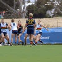 Mark Afl GIF by Adelaide Crows