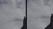 Art Film GIF by jorgemariozuleta