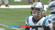 Carolina Panthers Football GIF by NFL