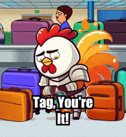 Travel Youre It GIF by Zorooster