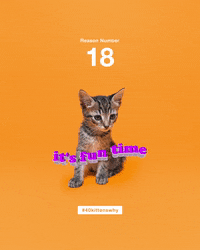 save them all best friends GIF by Best Friends Animal Society