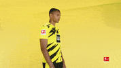 Happy Borussia Dortmund GIF by Bundesliga