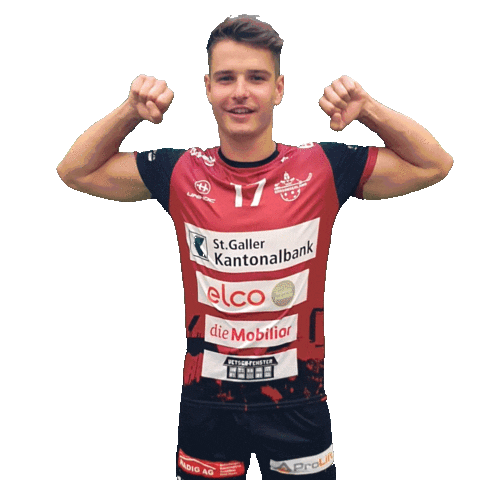 Bad Boy Fight Sticker by UHC Sarganserland